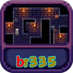 br335